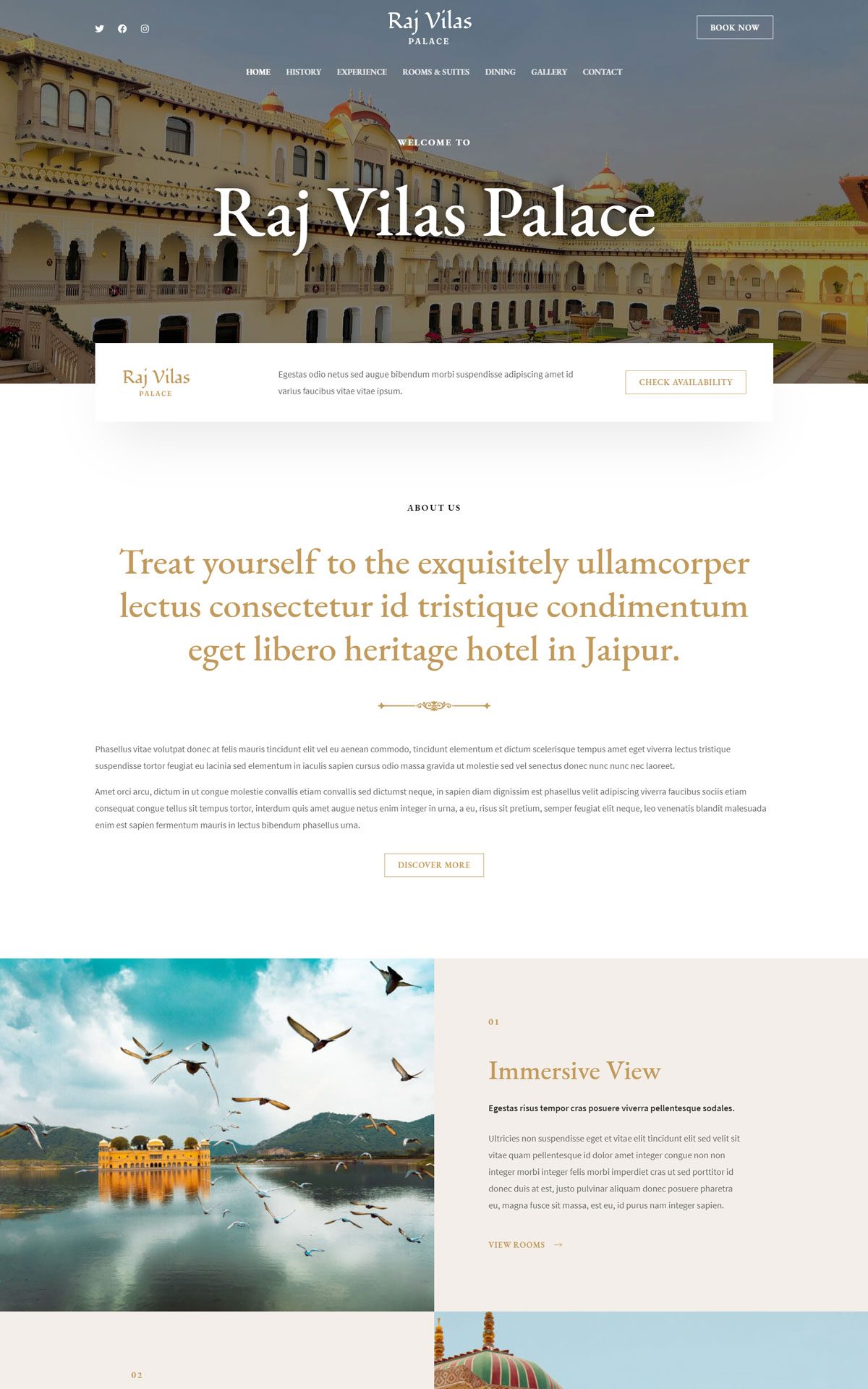 heritage hotel 04 home 01 astra template preview[1]