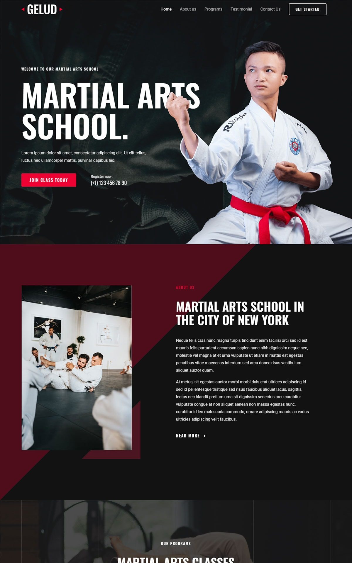 martial arts 04 astra template preview[1]